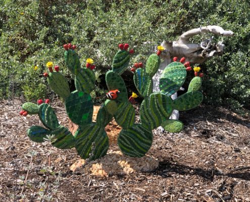 Opuntia with design on cactus and red flowers on top in front of plants