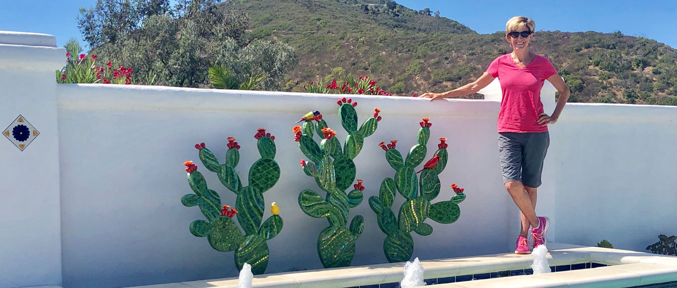 Three cactus plants are shown on a wall.