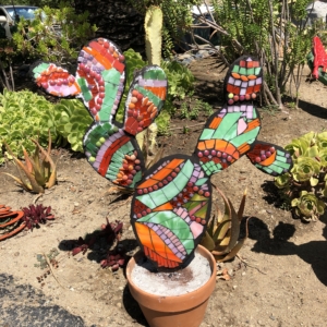 A cactus with many colors in the desert.