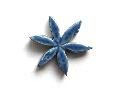 A blue star is shown on the white background.